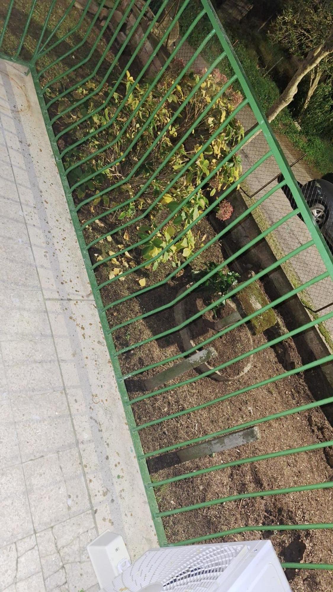 Marcella Va A Civita Bagnoregio Exterior foto